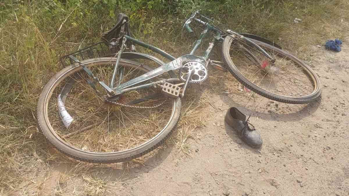 image-2023-11-24T131635.309