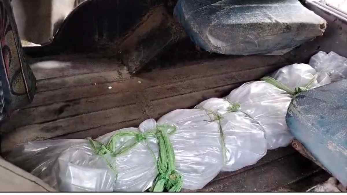 image-2023-11-29T150533.689