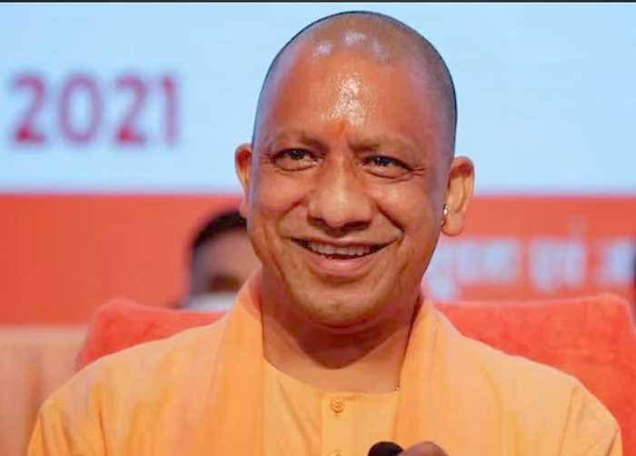 yogi-8.jpg