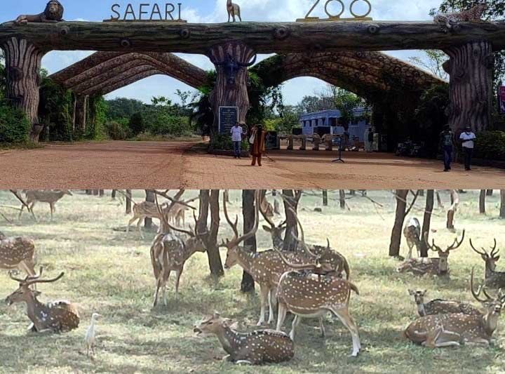 20231202121228_hiran