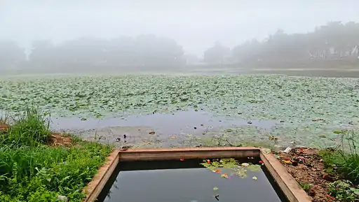 app_17020401226573123a08f07_1000645322