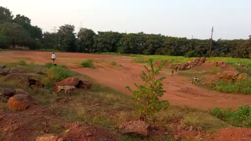 app_170204198765731983d780b_1000918073