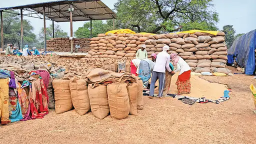 app_1702722184657d7a88dad7a_1000656121