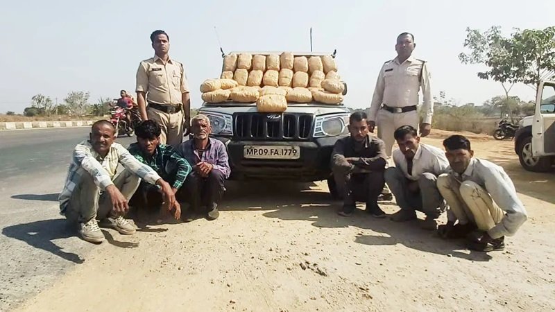 20240206144233_ganja