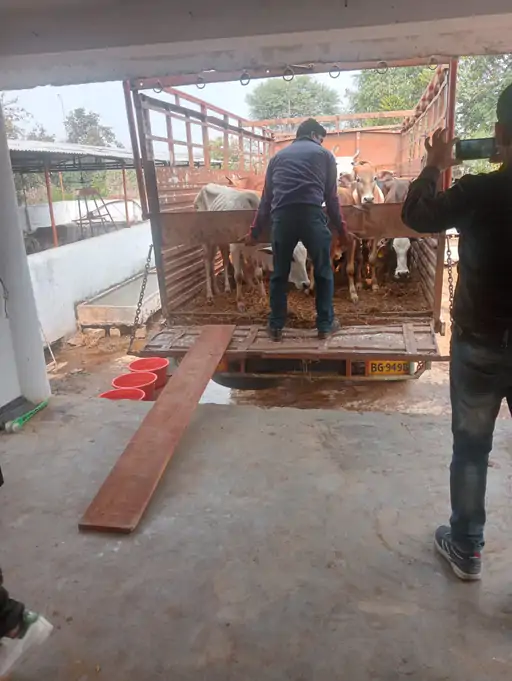 206_170766040365c8d473273fc_rjn9 (1)