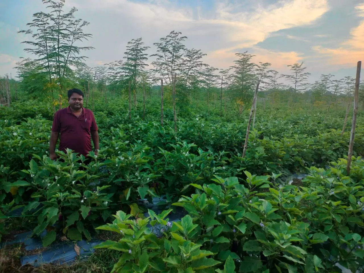 3541012-untitled-88-copy