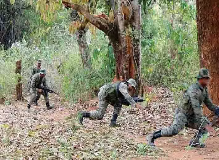 3541795-untitled-1-copy