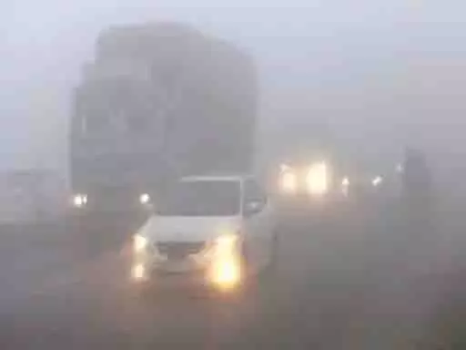 3547149-untitled-19-copy