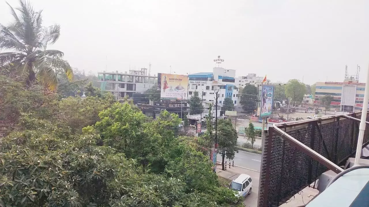 3549852-untitled-36-copy