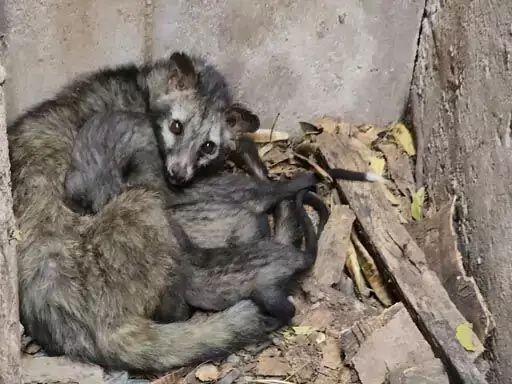 3559718-untitled-27-copy