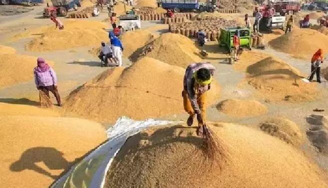 3562973-untitled-66-copy