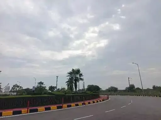 3564008-untitled-33-copy