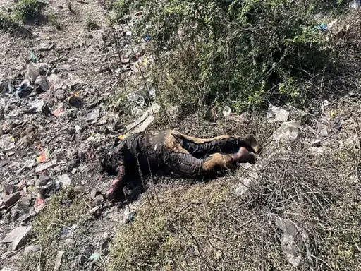 Untitled-63-copy-10 (1)