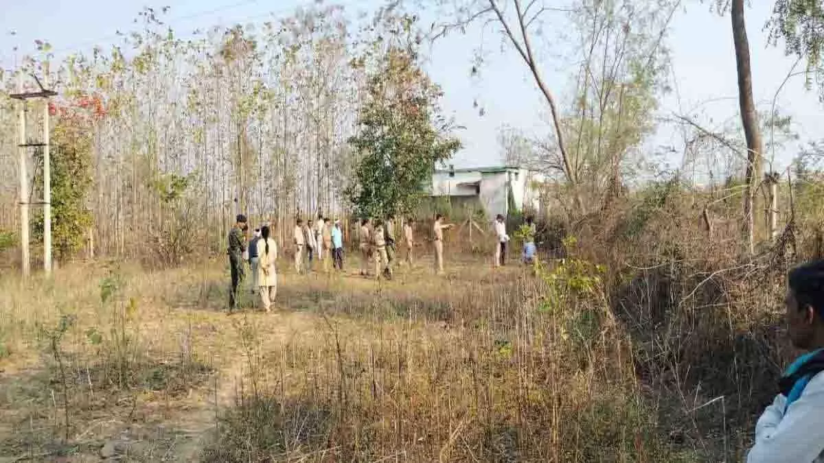 3584383-untitled-31-copy