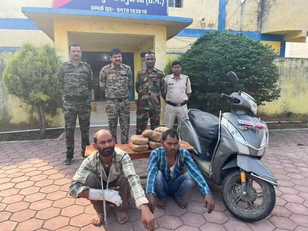 3610272-untitled-88-copy