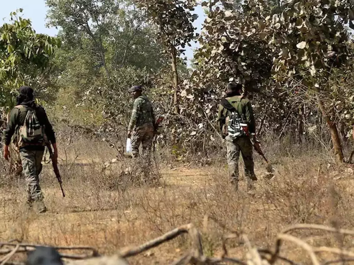 3618351-untitled-9-copy