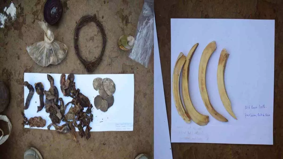 3620635-untitled-30-copy