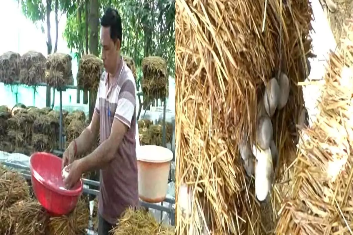 3620761-untitled-36-copy