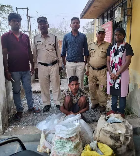 3627038-untitled-63-copy