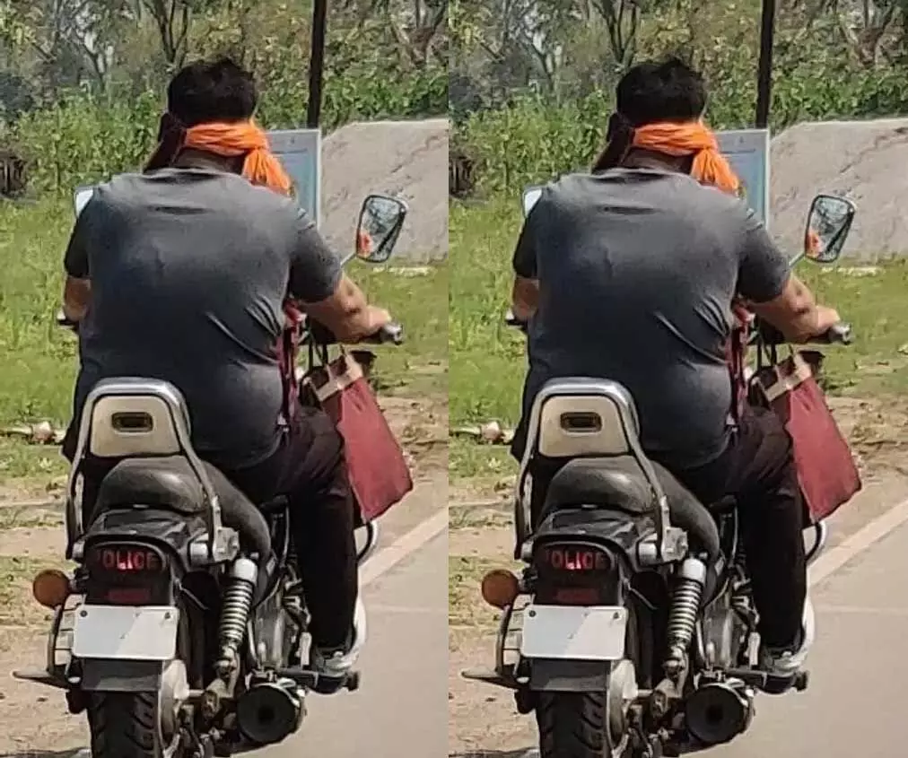 3628464-untitled-37-copy