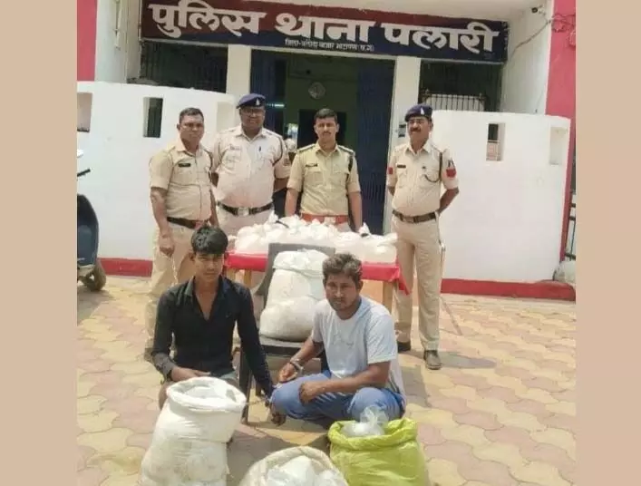 3646610-untitled-23-copy