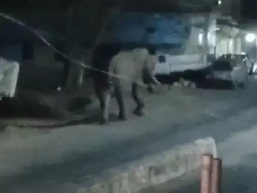 3652538-untitled-81-copy