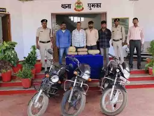 3669927-untitled-34-copy