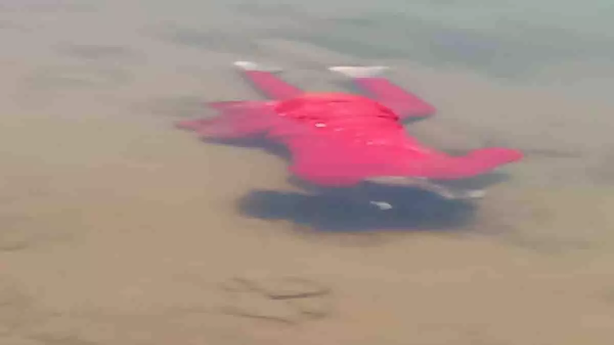 3670025-untitled-14-copy