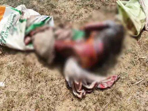 3683238-untitled-129-copy