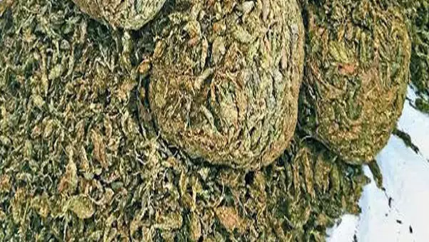 3685014-untitled-119-copy