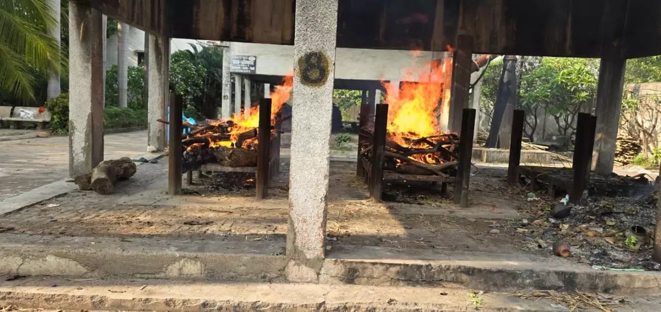 3692746-untitled-47-copy