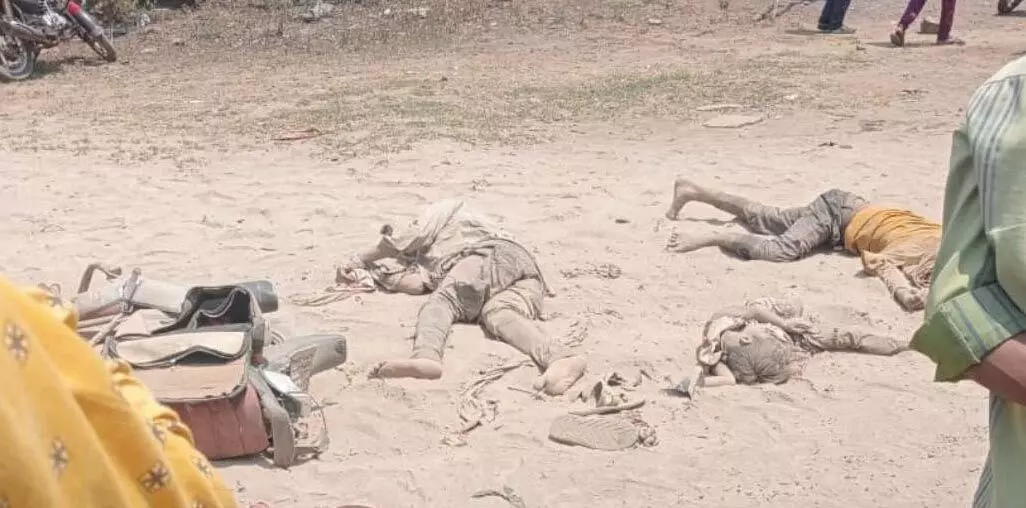 3692909-untitled-61-copy