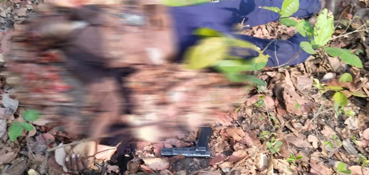 3698864-untitled-84-copy