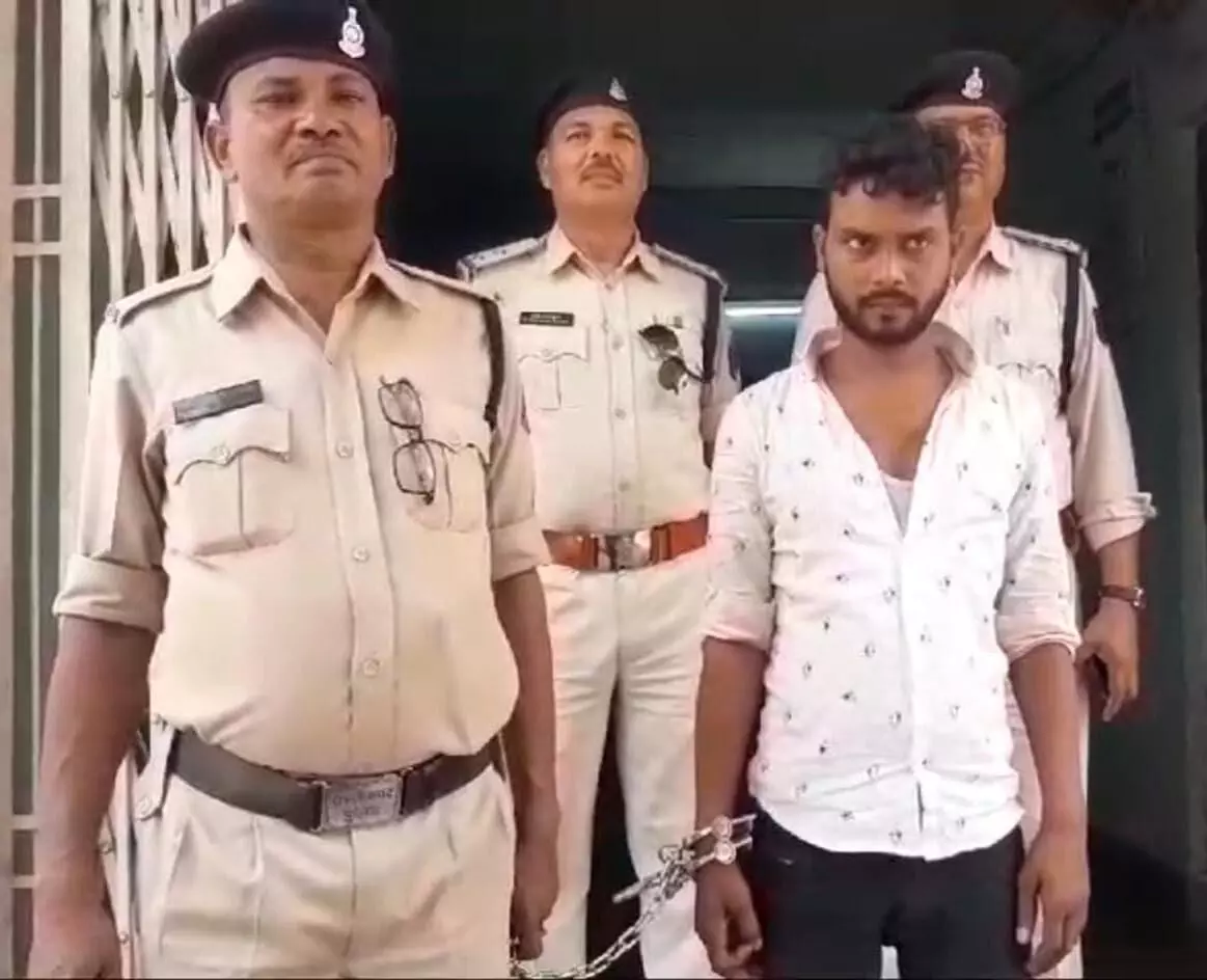 3699030-untitled-8-copy