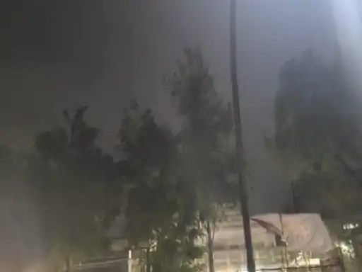 44412815101111111110191010101010101001010101011011_1712524110