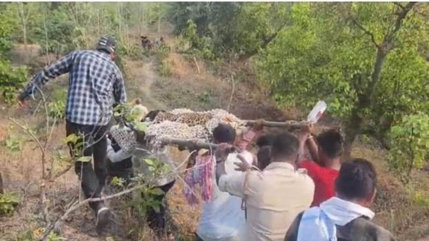 20240527123924_tenduaa