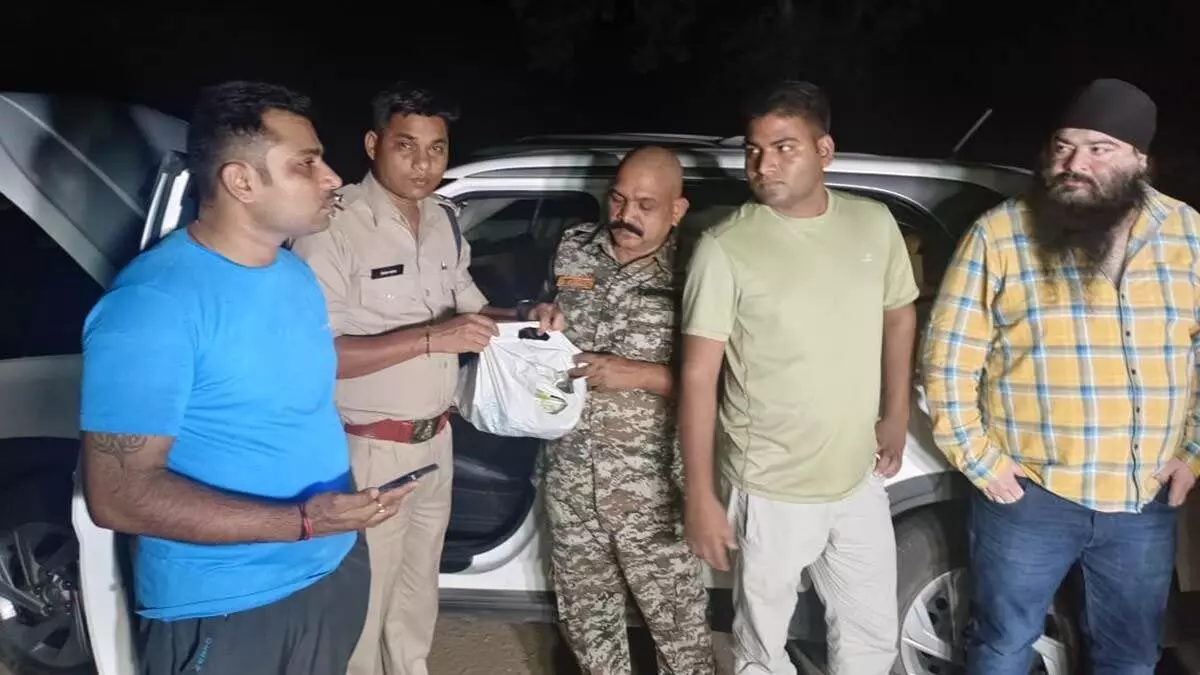 3699910-untitled-28-copy