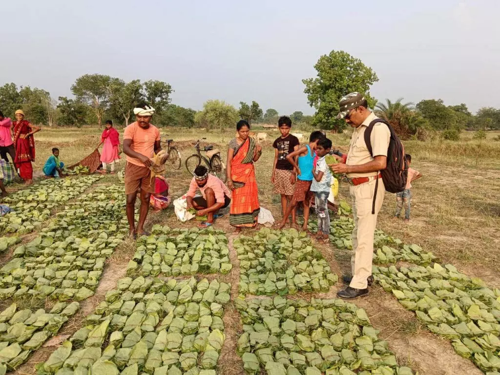 3702019-untitled-37-copy