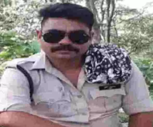 3704857-untitled-31-copy