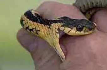 3705583-untitled-45-copy