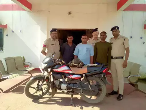 3715934-untitled-52-copy