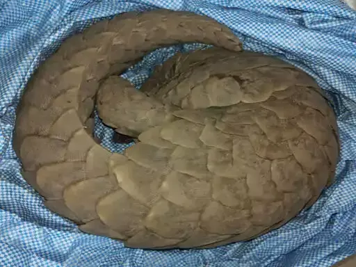 3716550-untitled-83-copy