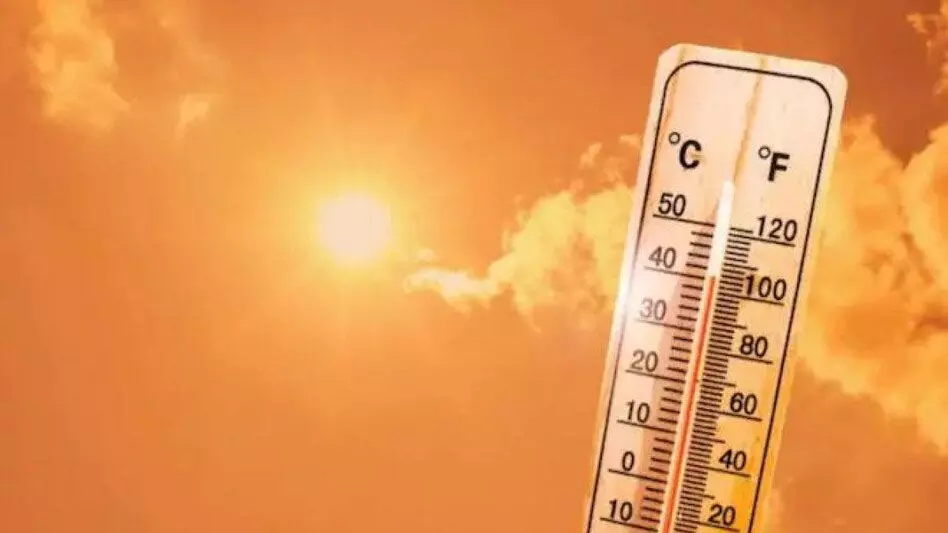 3721066-untitled-36-copy