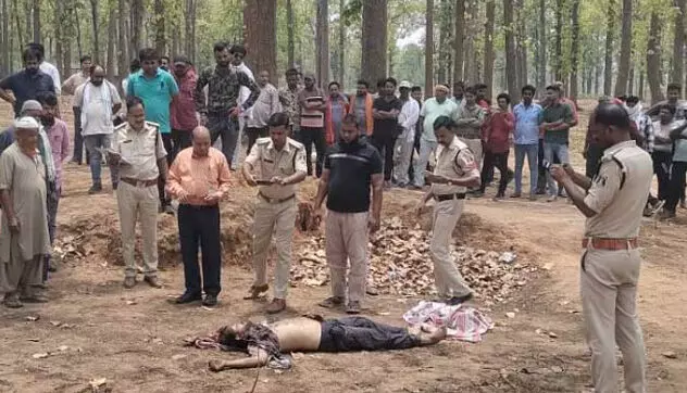 3730685-untitled-88-copy