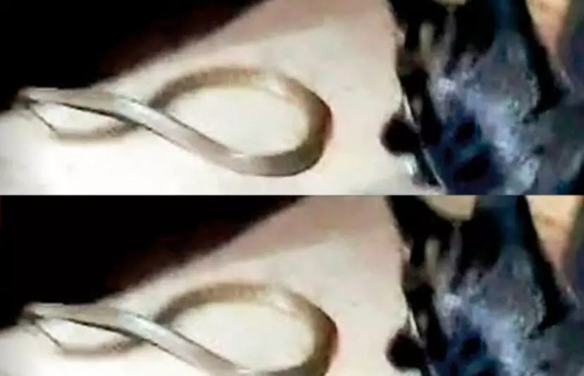 3738692-untitled-17-copy