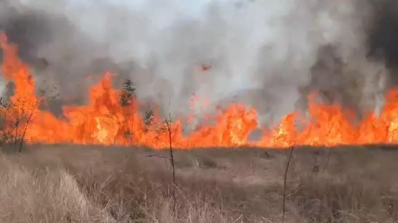 3742820-untitled-78-copy