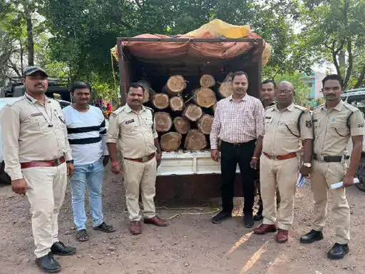 3744155-untitled-21-copy