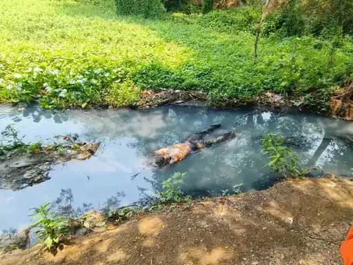 3748569-untitled-57-copy