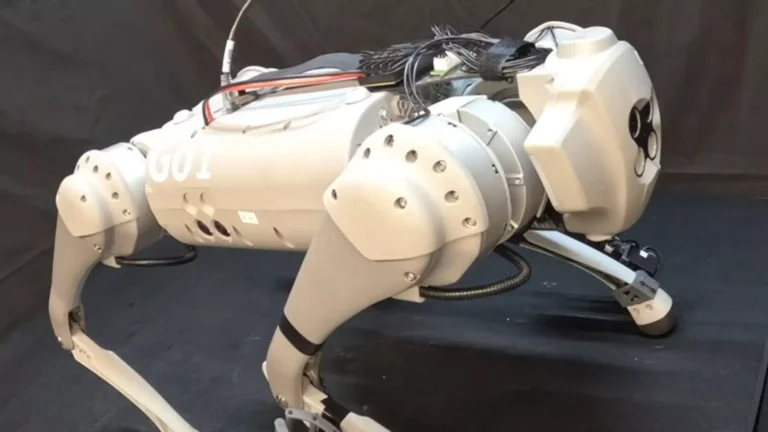 3761183-untitled-2-copy