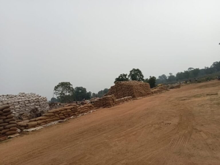 WhatsApp-Image-2024-05-11-at-1.30.08-PM-1024x768